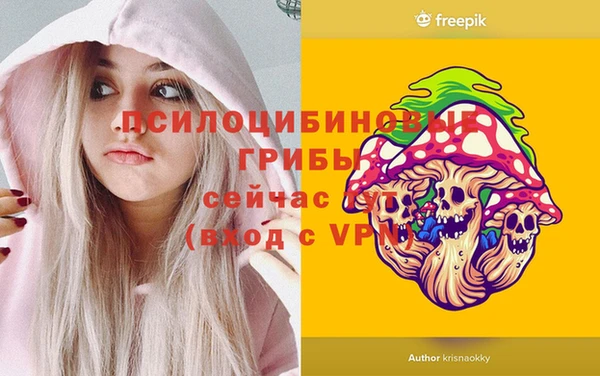 меф Горняк