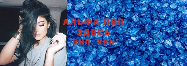 ПСИЛОЦИБИНОВЫЕ ГРИБЫ Вязники
