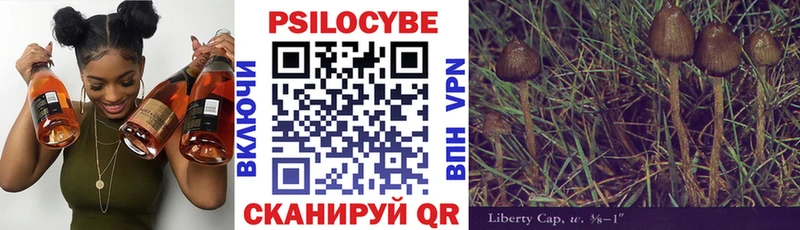 купить закладку  Орехово-Зуево  Галлюциногенные грибы Psilocybe 