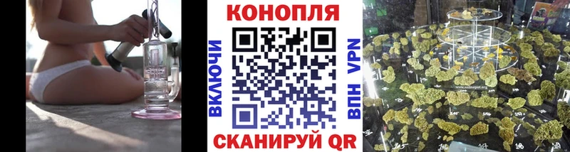 кракен ССЫЛКА  как найти закладки  Орехово-Зуево  Канабис планчик 